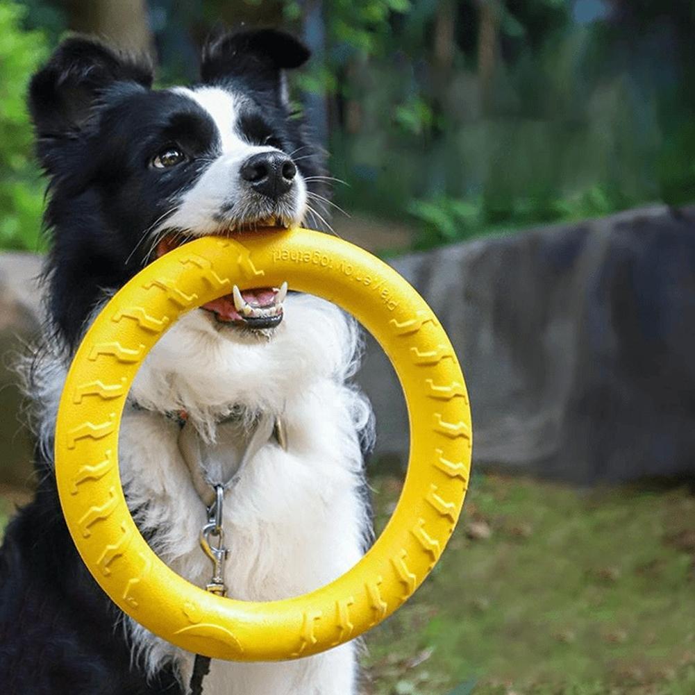 Indestructible Dog Chew Toy - 강아지용 링 장난감, 튼튼하고 잘 씹어도