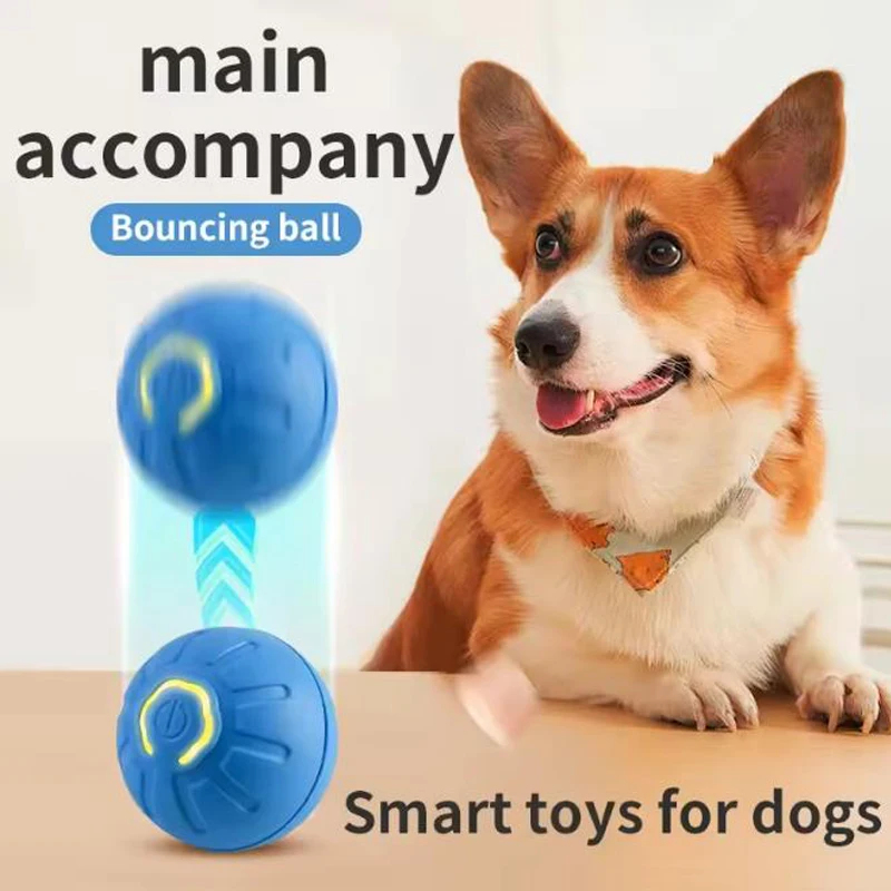 지능형 인터랙티브 애완동물 장난감 공 전자 자동 움직이 - Automatic Moving Dog Ball 리뷰 및 가격