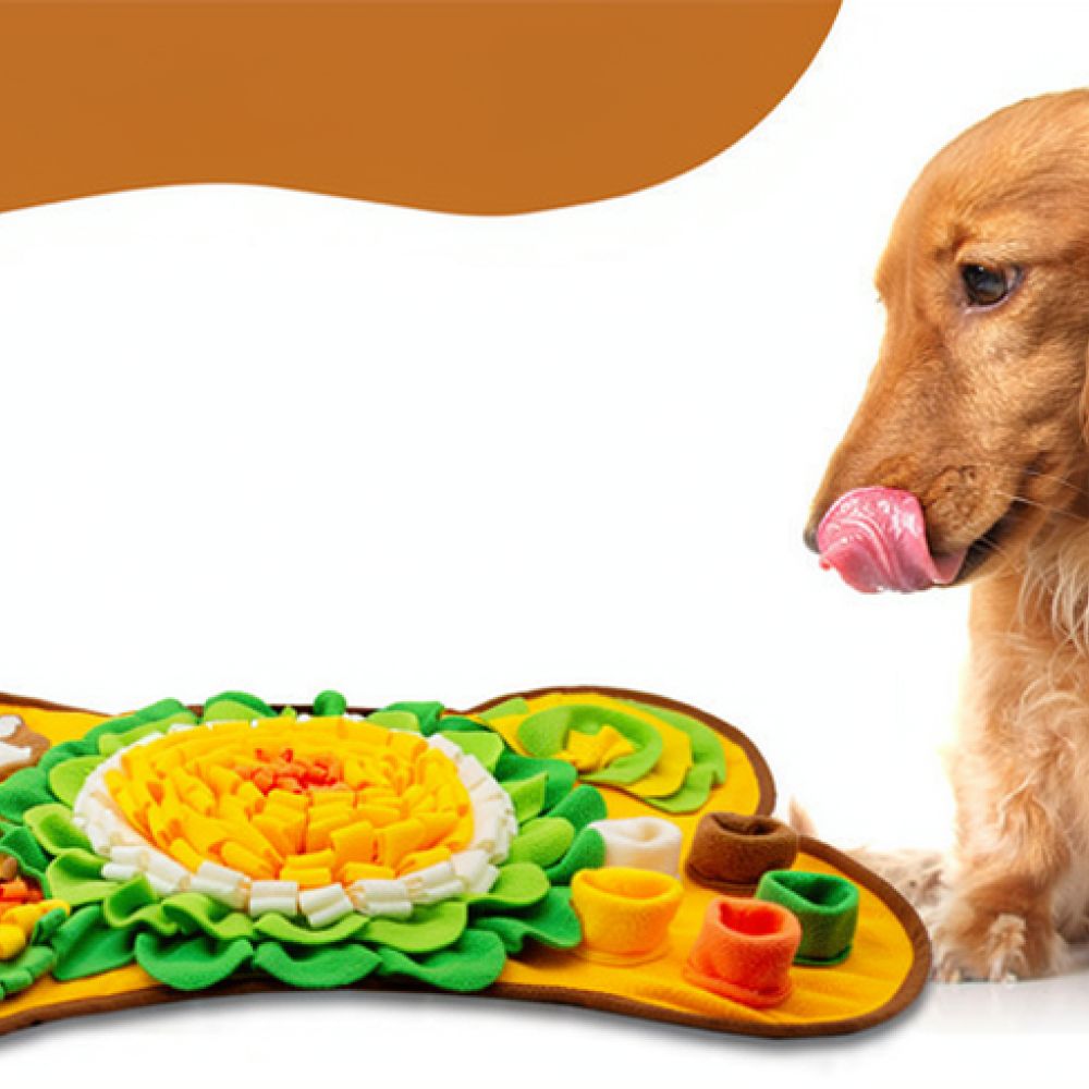 강아지용 코를 사용하여 맡는 놀이 매트, 뼈 모양 디자 - Dog Puzzle Feeder Toy 리뷰 및 가격