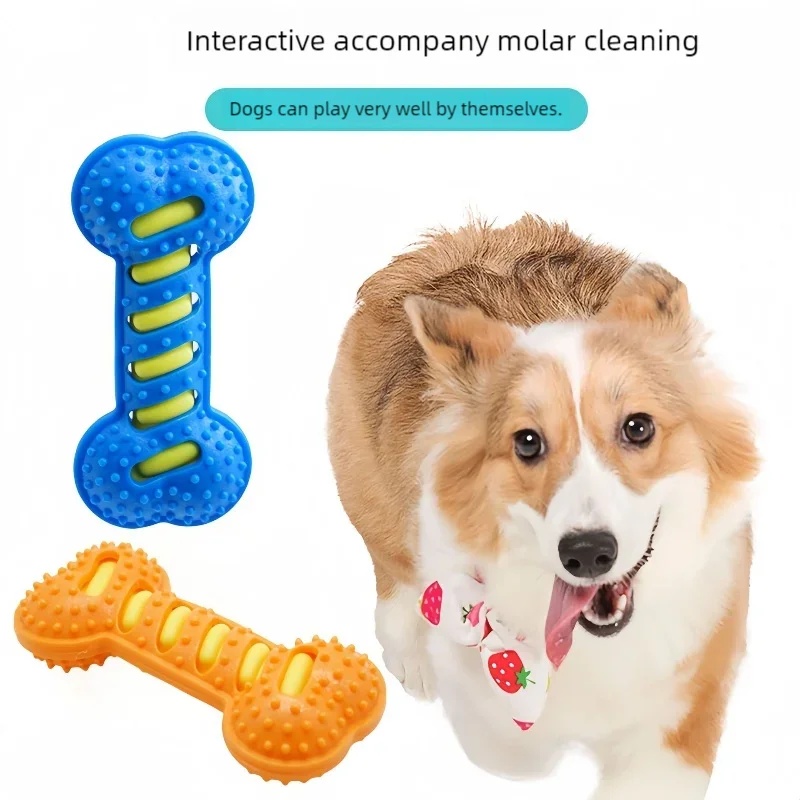 애완견 씹는 장난감 TPR 고무 뼈 모양 장난감 내구성 - Teeth Cleaning Dog Chew Bone 리뷰 및 가격